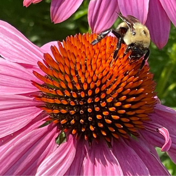 Like it? Make an offer! - Picture 7 of 9